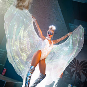 led show tancerki (5)